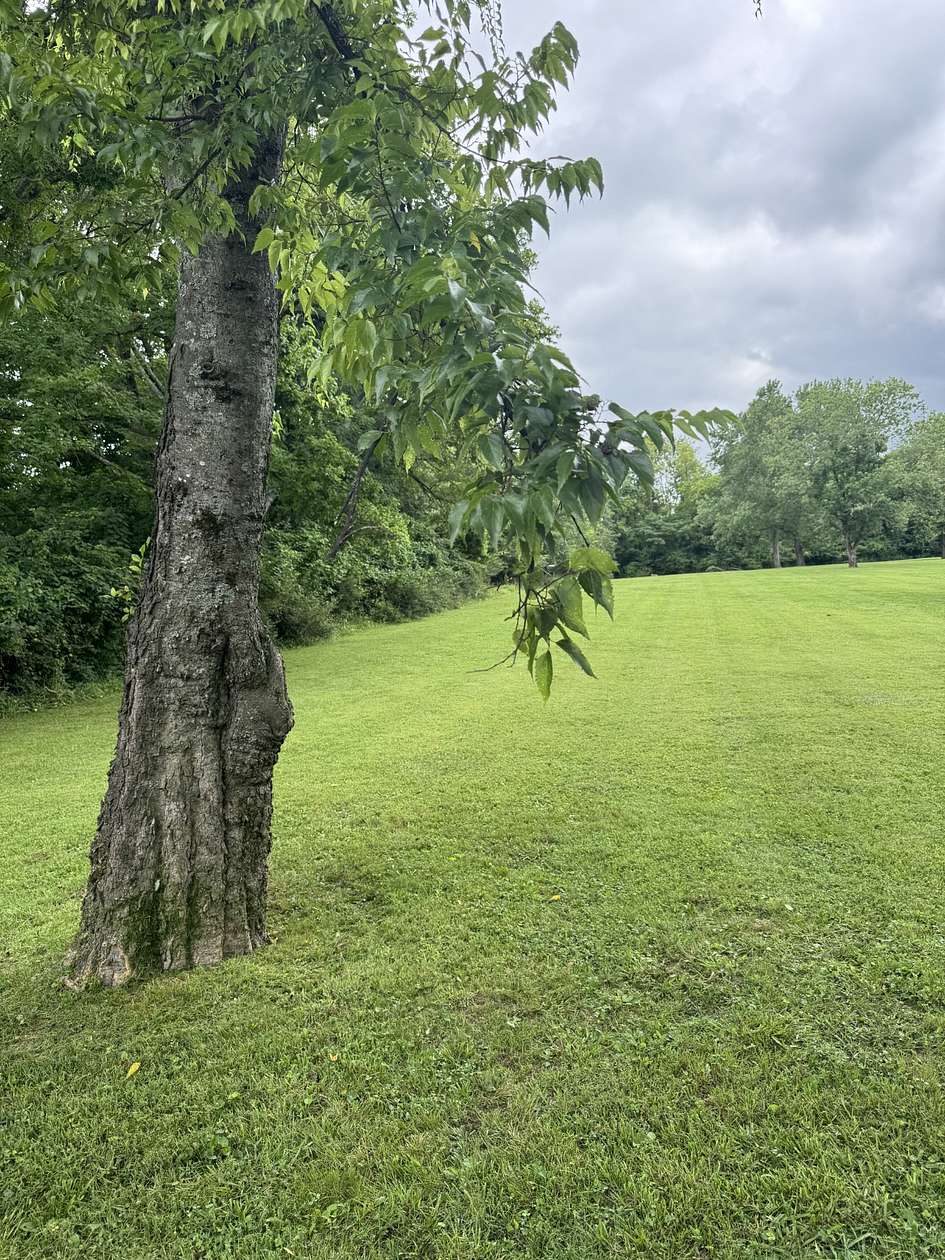 0.92 Acres of Residential Land for Sale in Hendersonville, Tennessee