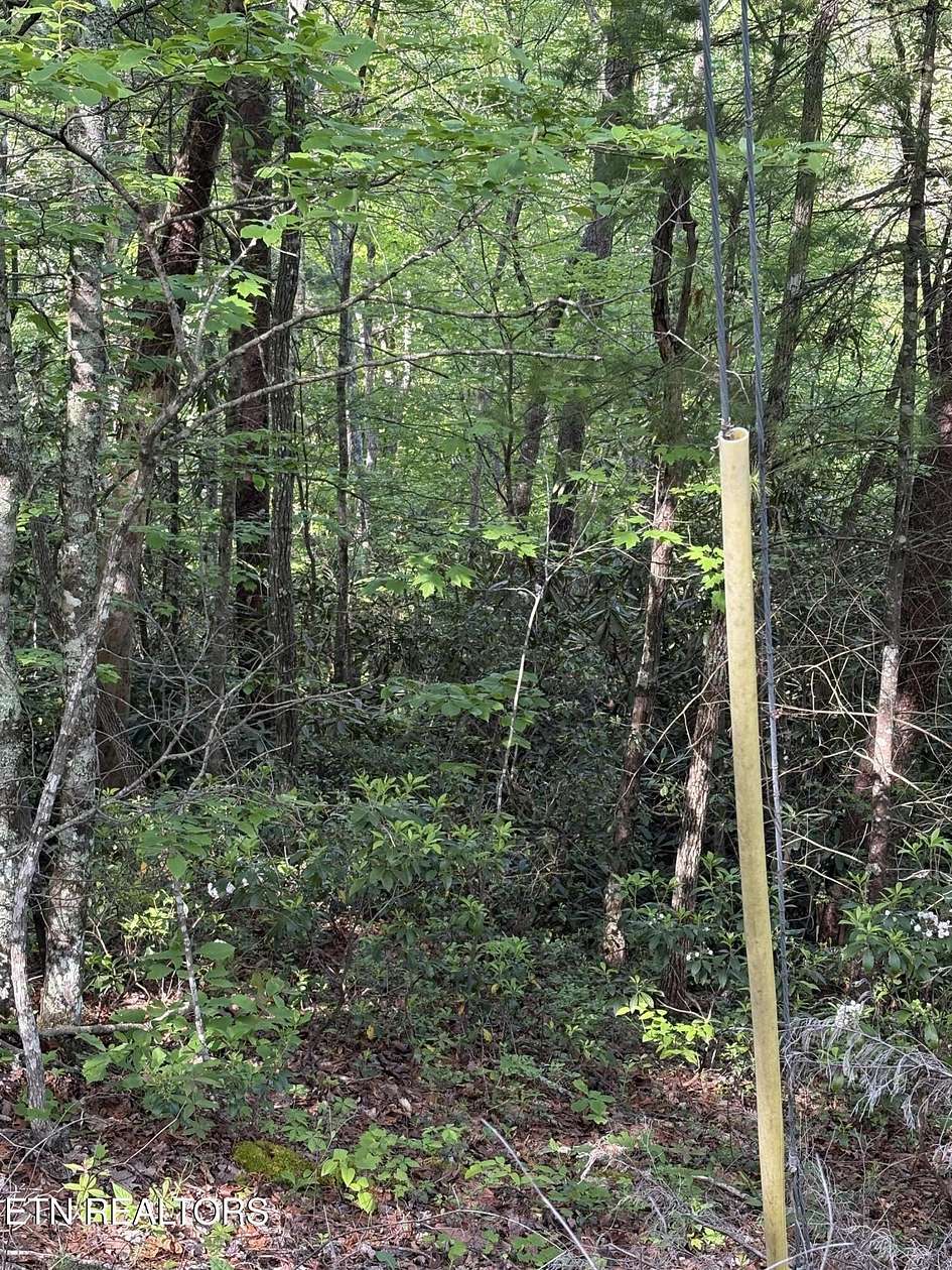 5.46 Acres of Residential Land for Sale in Walland, Tennessee