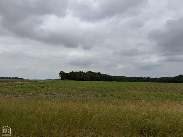 30.2 Acres of Land for Sale in Jonesboro, Arkansas