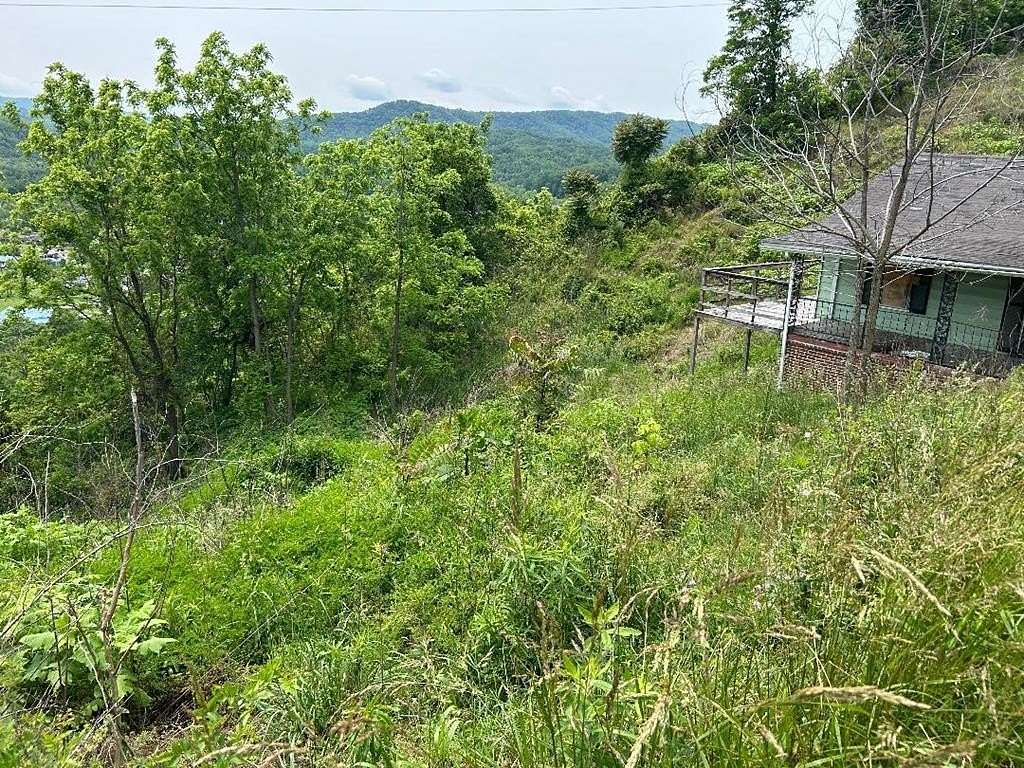 0.75 Acres of Residential Land for Sale in Raven, Virginia