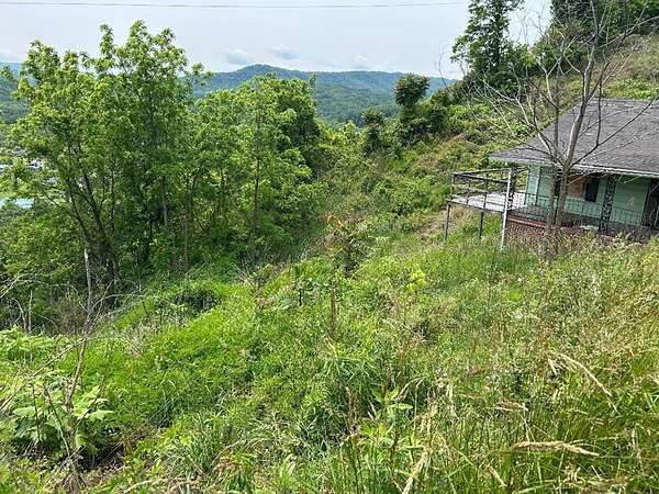 0.75 Acres of Residential Land for Sale in Raven, Virginia