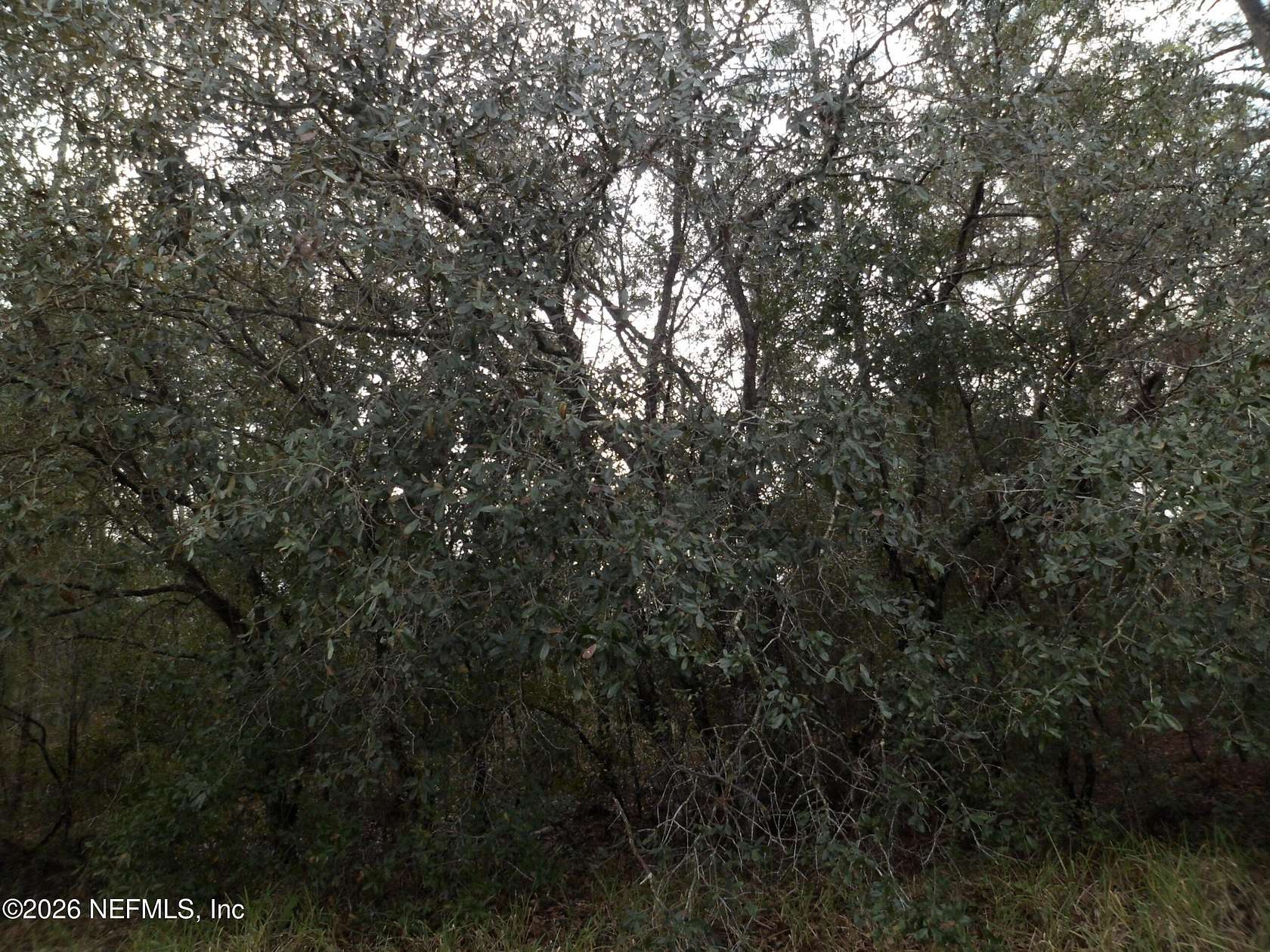 0.22 Acres of Residential Land for Sale in Interlachen, Florida