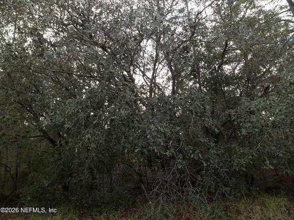 0.22 Acres of Residential Land for Sale in Interlachen, Florida