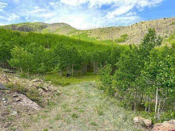14.6 Acres of Recreational Land for Sale in South Fork, Colorado