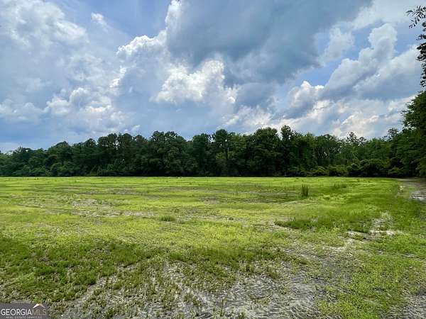 5 Acres of Residential Land for Sale in Brooklet, Georgia