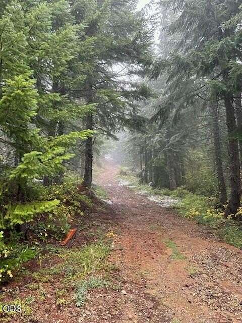 52.5 Acres of Recreational & Residential Land for Sale in Sweet Home, Oregon
