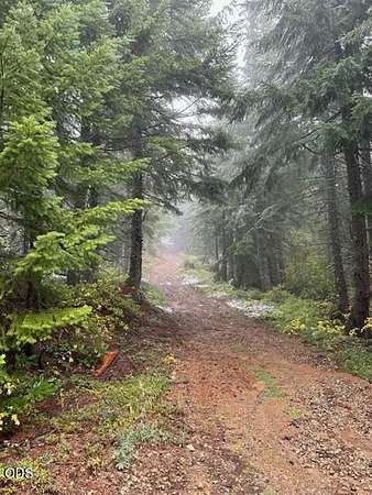 52.5 Acres of Recreational & Residential Land for Sale in Sweet Home, Oregon