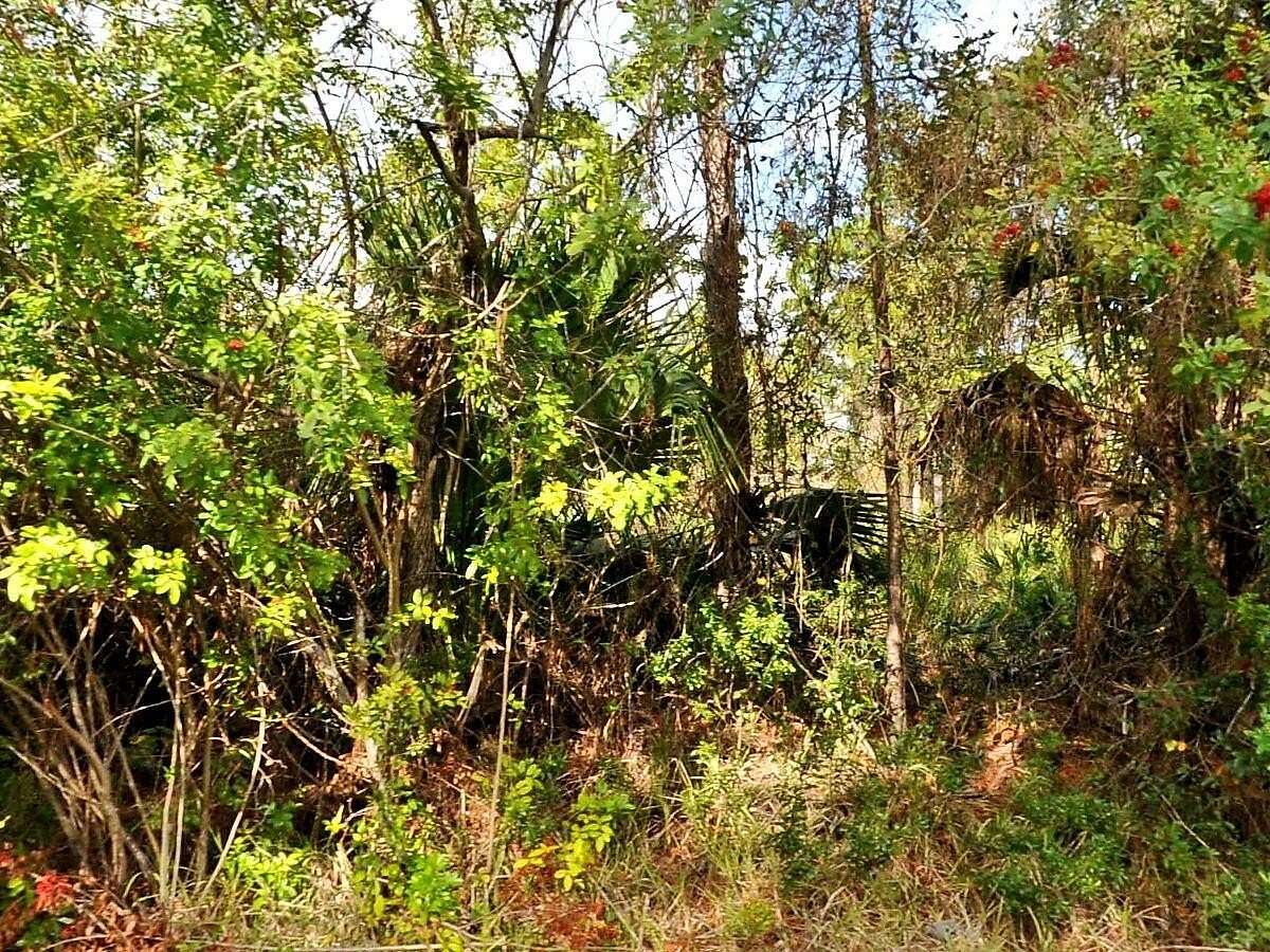 0.24 Acres of Land for Sale in North Port, Florida