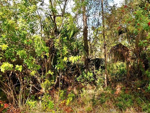 0.24 Acres of Land for Sale in North Port, Florida