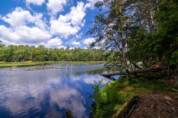 0.93 Acres of Residential Land for Sale in Three Lakes, Wisconsin