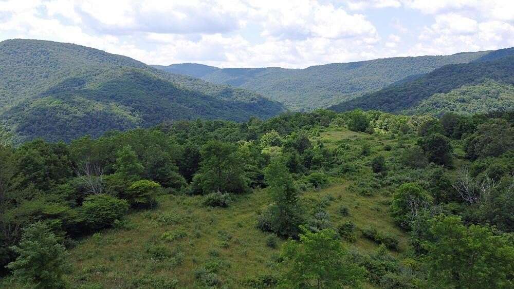 553 Acres of Recreational Land for Sale in Slaty Fork, West Virginia