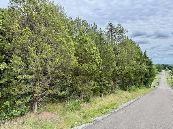 0.37 Acres of Residential Land for Auction in Talbott, Tennessee