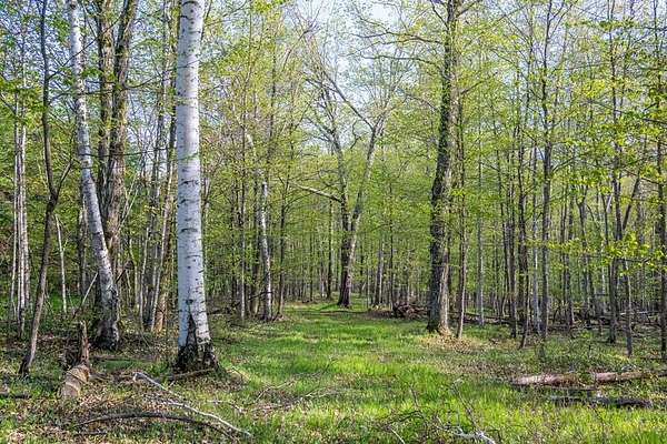 6.6 Acres of Residential Land for Sale in Fish Creek, Wisconsin