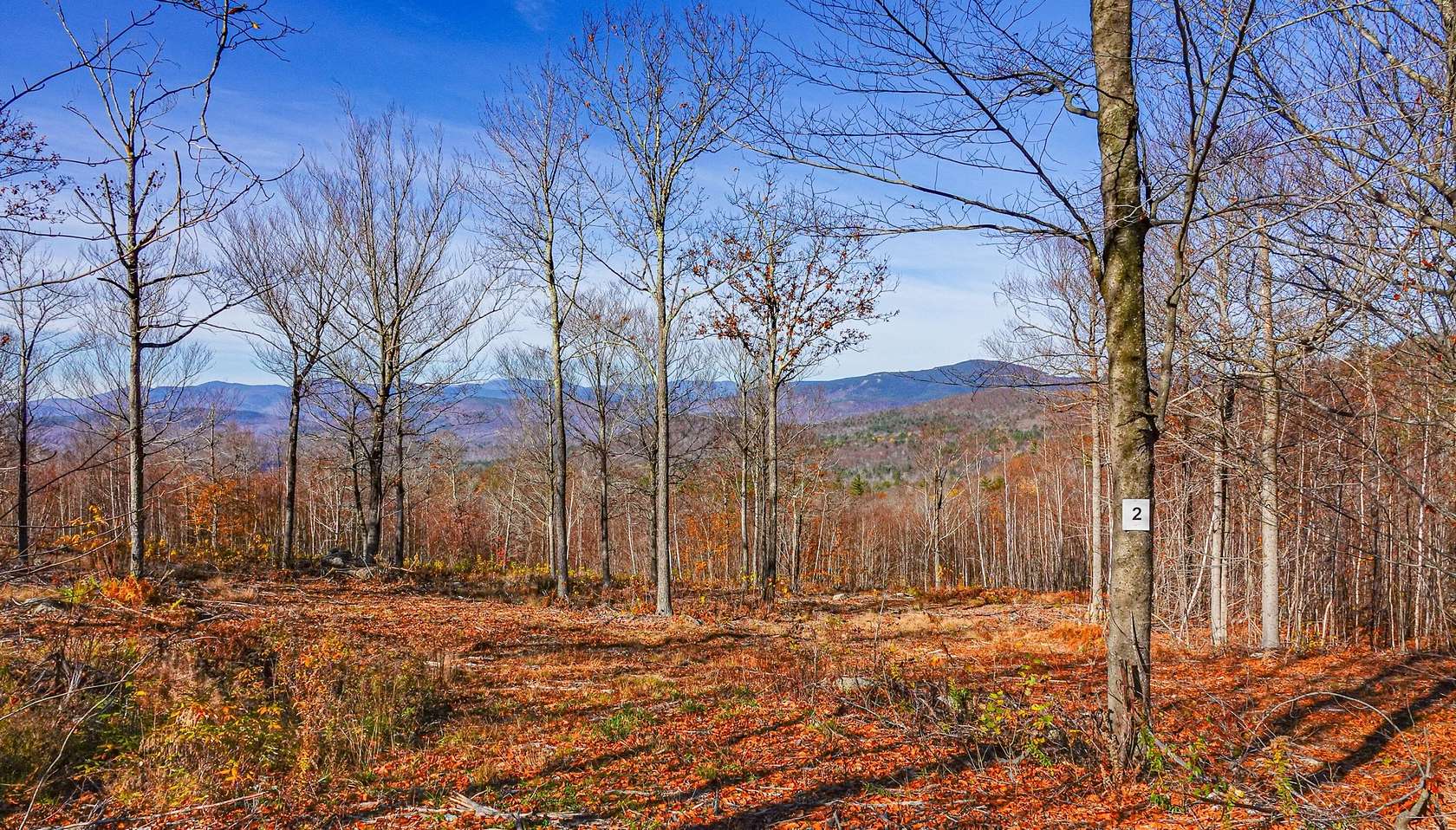 2.5 Acres of Residential Land for Sale in Stoneham Town, Maine