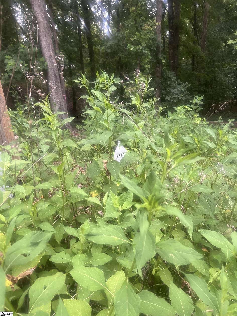 0.56 Acres of Land for Sale in Westminster, South Carolina