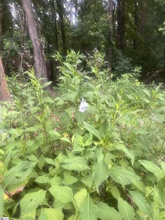 0.56 Acres of Land for Sale in Westminster, South Carolina