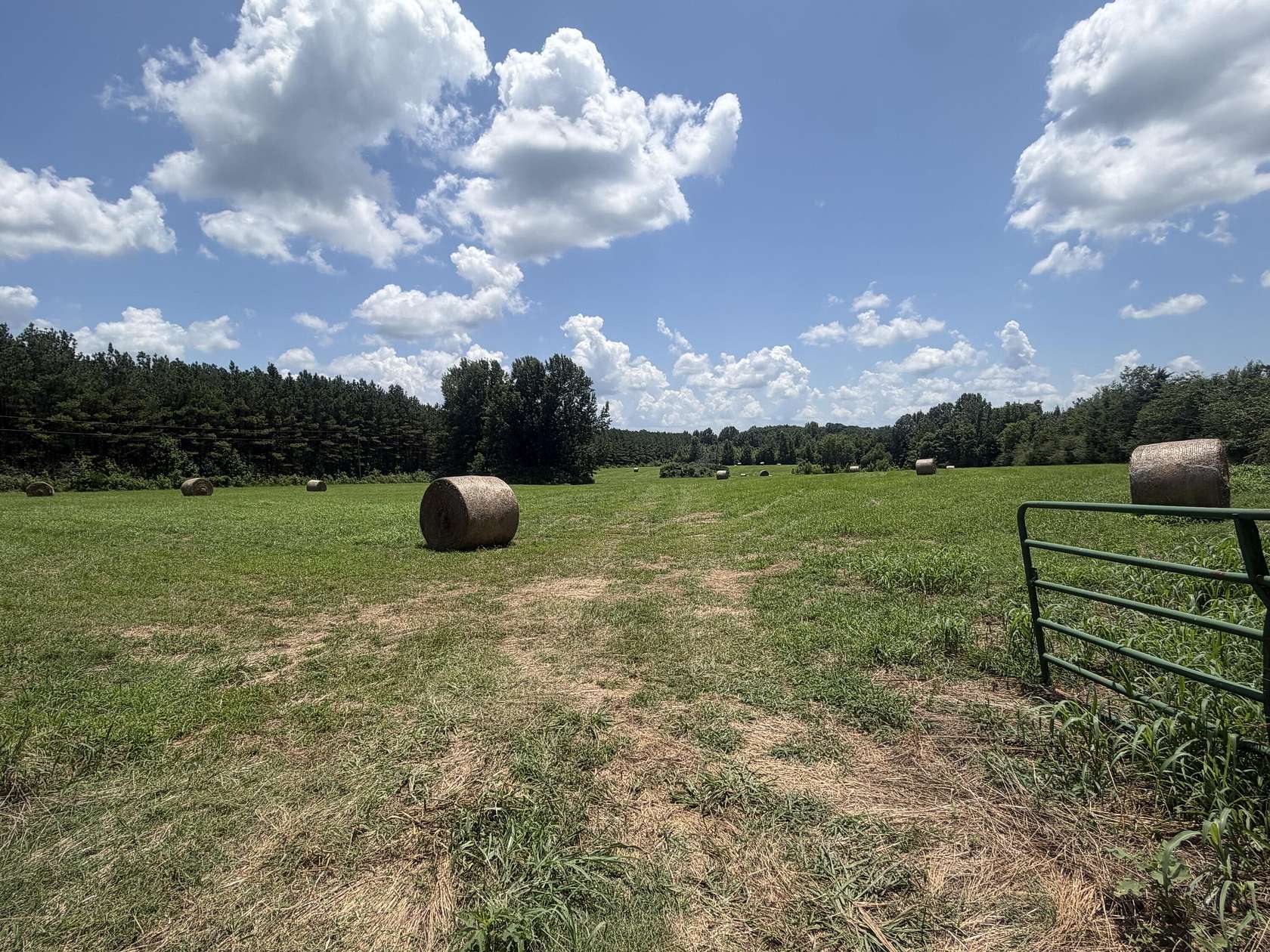 13.1 Acres of Land for Sale in Holly Springs, Mississippi