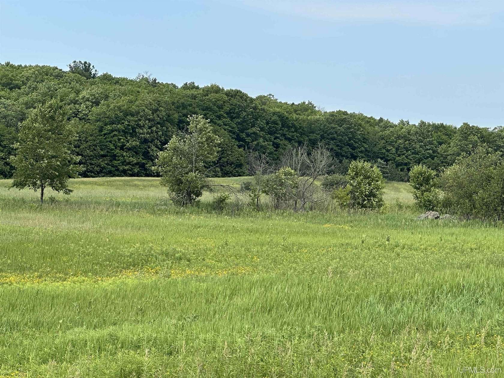 197 Acres of Land for Sale in Hardwood, Michigan