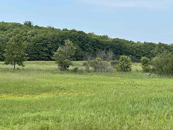 197 Acres of Land for Sale in Hardwood, Michigan