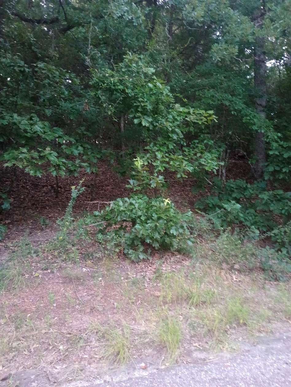 0.21 Acres of Land for Sale in Murchison, Texas