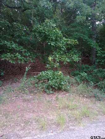 0.21 Acres of Land for Sale in Murchison, Texas