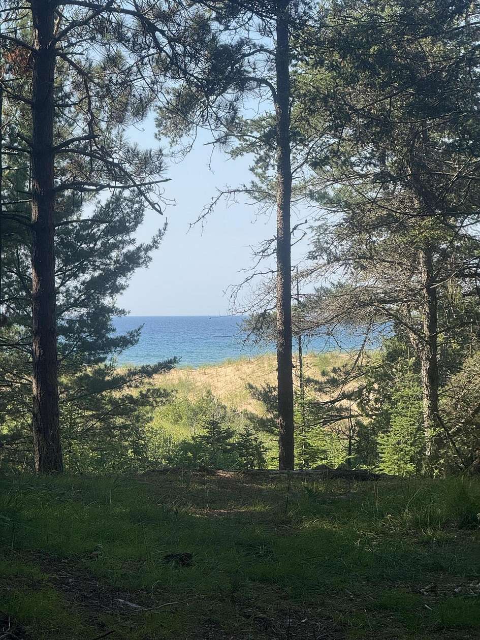 13 Acres of Land for Sale in Gulliver, Michigan
