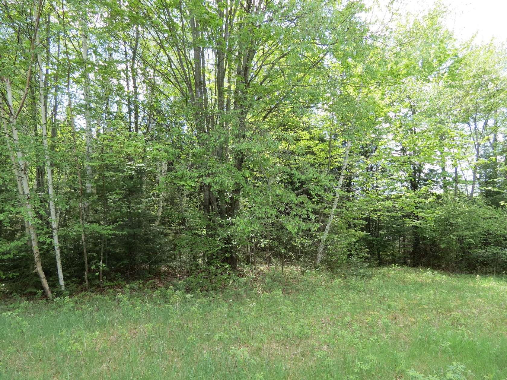 0.88 Acres of Residential Land for Sale in Park Falls, Wisconsin