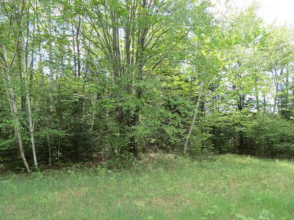 0.88 Acres of Residential Land for Sale in Park Falls, Wisconsin