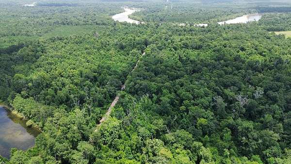 37.6 Acres of Recreational Land for Sale in Bon Wier, Texas