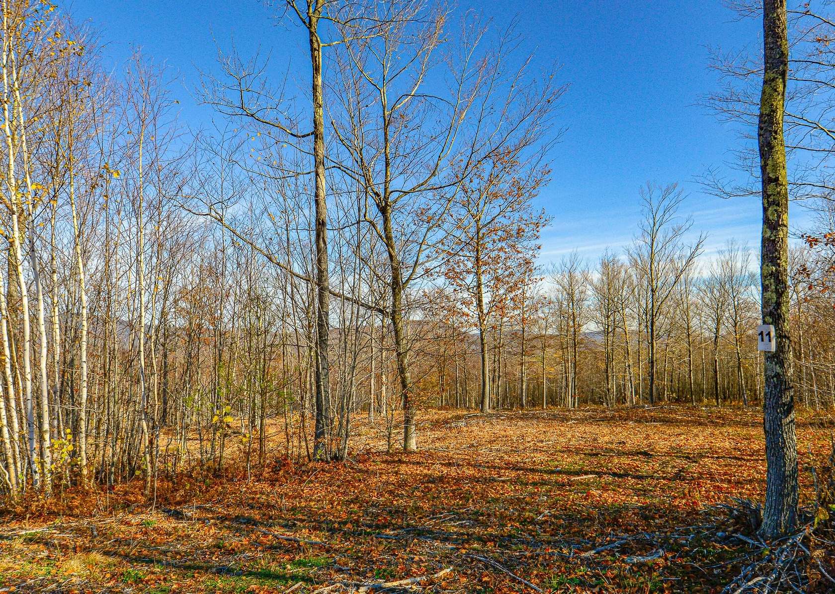 4.19 Acres of Residential Land for Sale in Stoneham Town, Maine