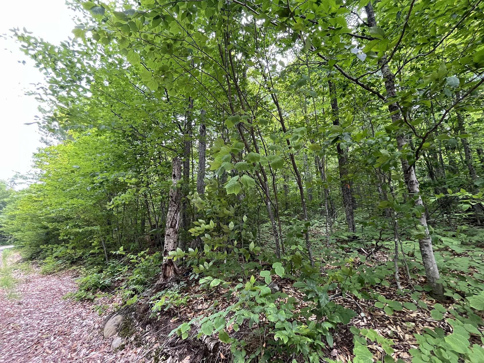 1.1 Acres of Residential Land for Sale in Newry, Maine