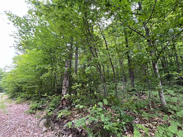1.1 Acres of Residential Land for Sale in Newry, Maine