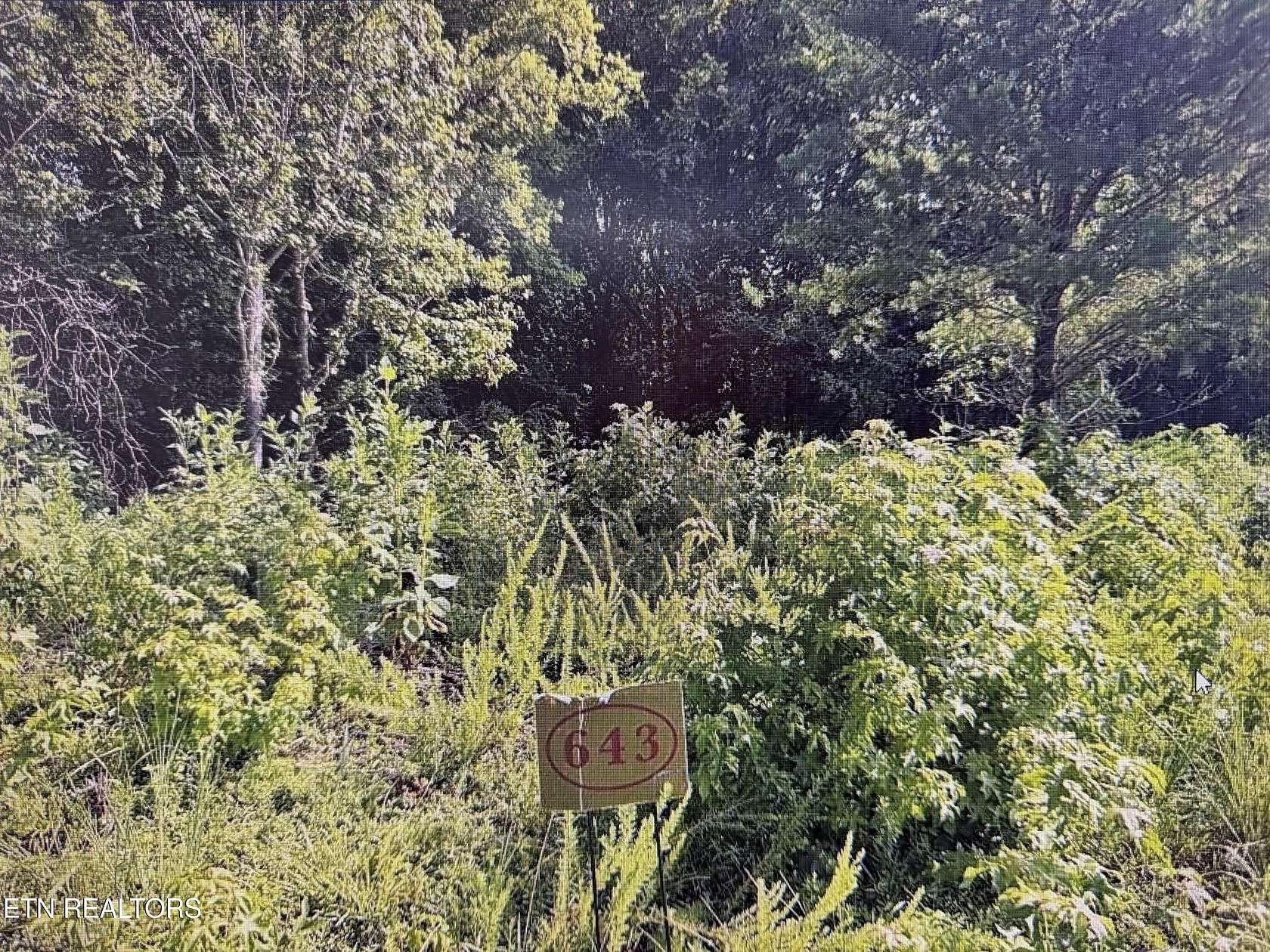 1.33 Acres of Residential Land for Sale in Rockwood, Tennessee
