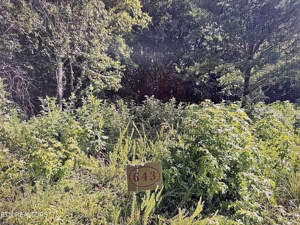 1.33 Acres of Residential Land for Sale in Rockwood, Tennessee