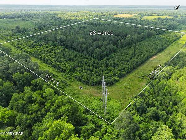 28 Acres of Recreational Land for Sale in Sneads, Florida