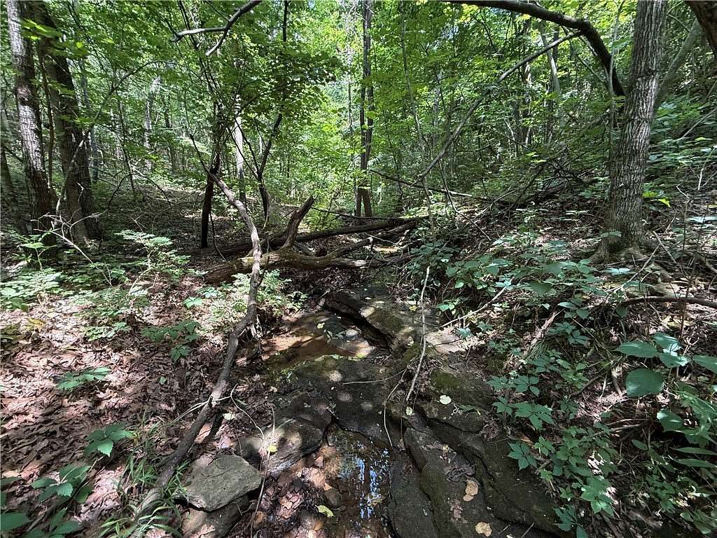 15 Acres of Recreational & Residential Land for Sale in Jasper, Arkansas