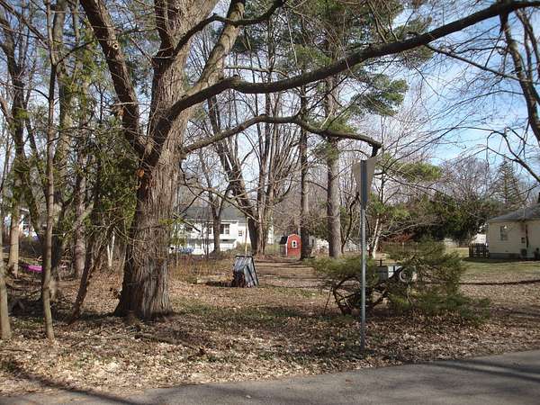 0.21 Acres of Residential Land for Sale in Grand Rapids, Michigan