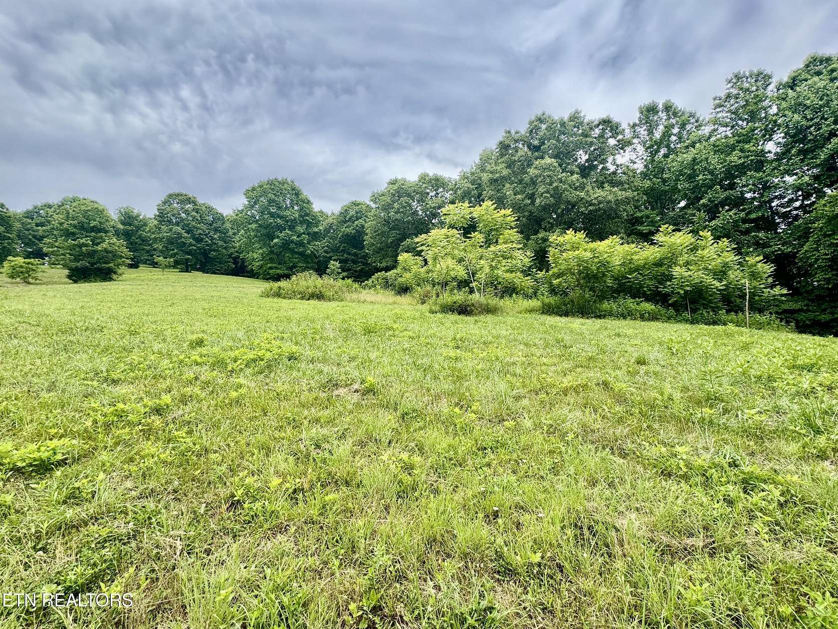 18 Acres of Recreational & Residential Land for Auction in New Tazewell, Tennessee