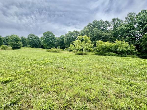 18 Acres of Recreational & Residential Land for Auction in New Tazewell, Tennessee