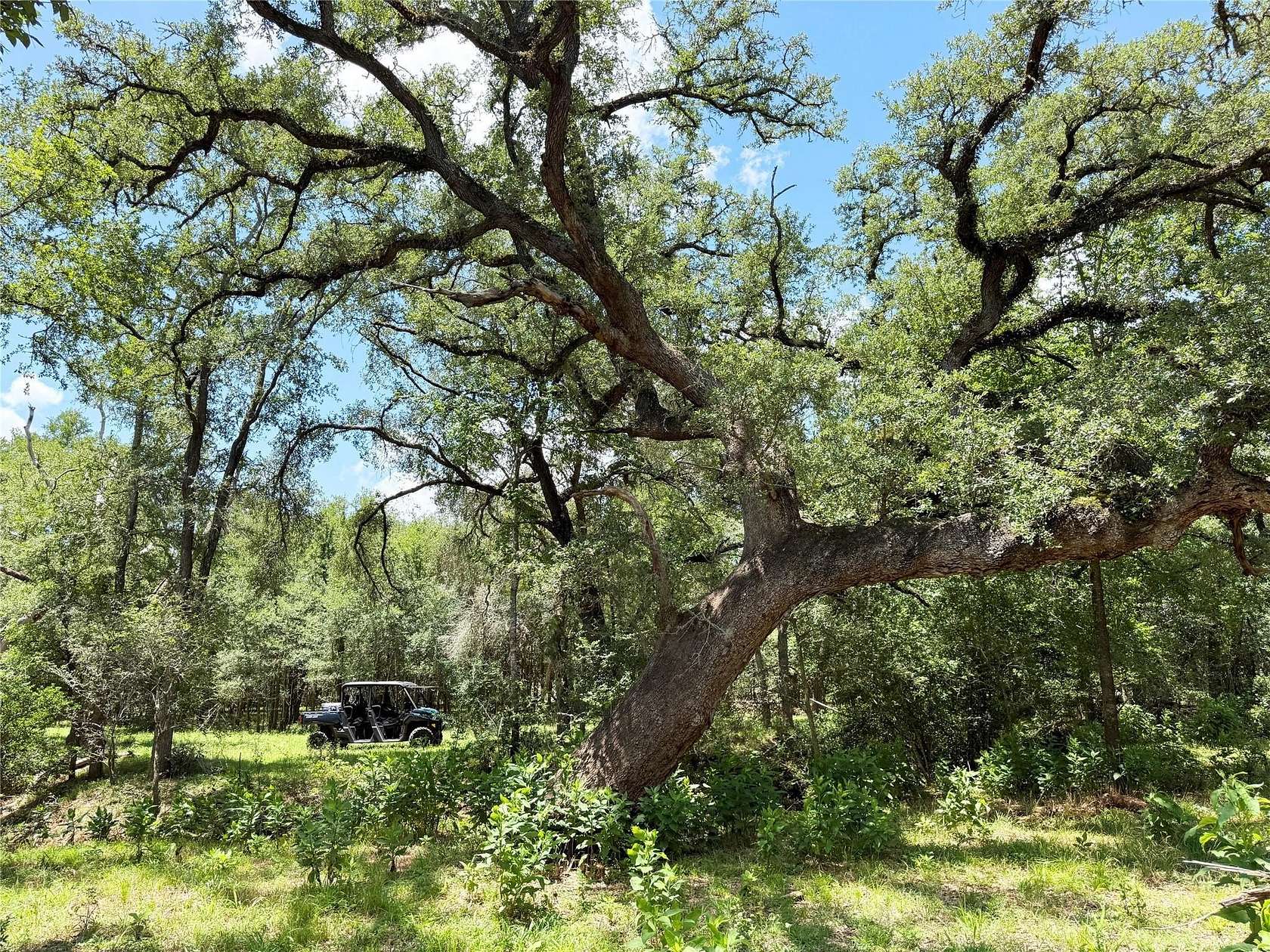 41 Acres of Land for Sale in Paige, Texas