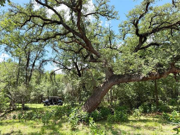 41 Acres of Land for Sale in Paige, Texas