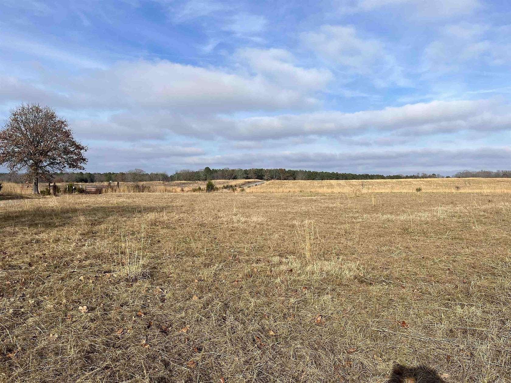 21 Acres of Land for Sale in Damascus, Arkansas
