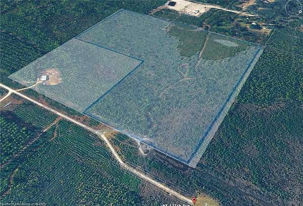 30 Acres of Recreational Land for Sale in Fort McCoy, Florida