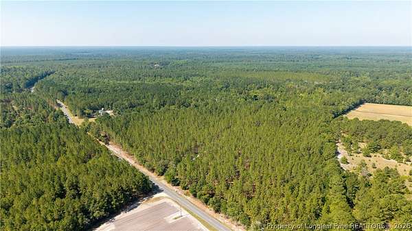 89 Acres of Recreational & Residential Land for Sale in White Oak, North Carolina