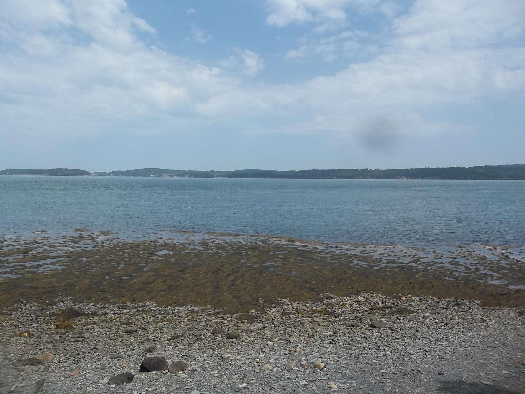 13.6 Acres of Land for Sale in Eastport, Maine
