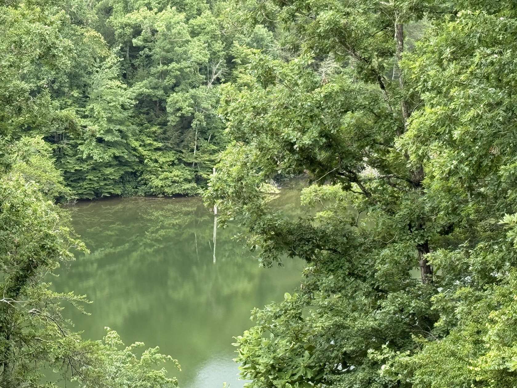 1 Acre of Residential Land for Sale in London, Kentucky