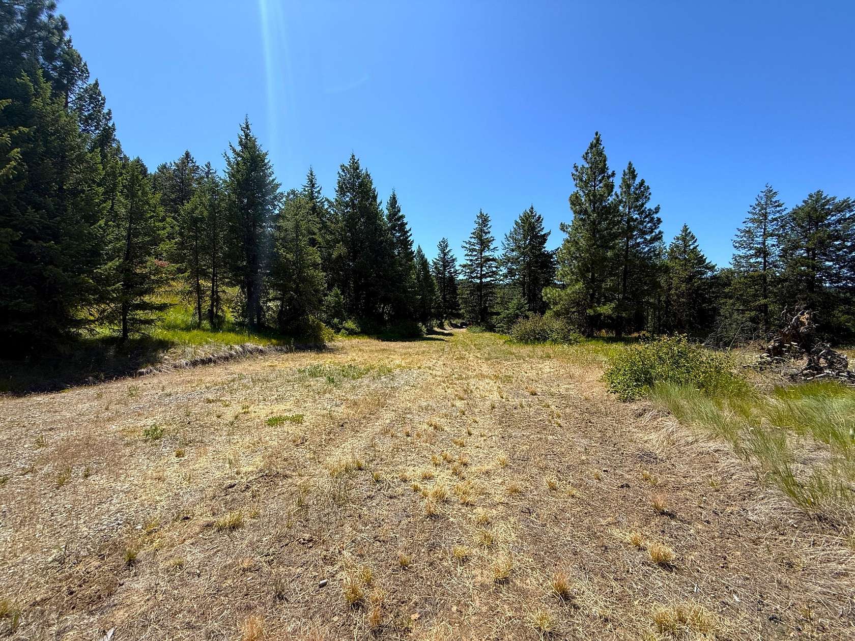 20 Acres of Recreational & Residential Land for Sale in Republic, Washington