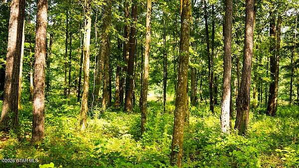 Land for Sale in Brooksville, Mississippi