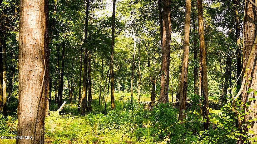 Land for Sale in Brooksville, Mississippi