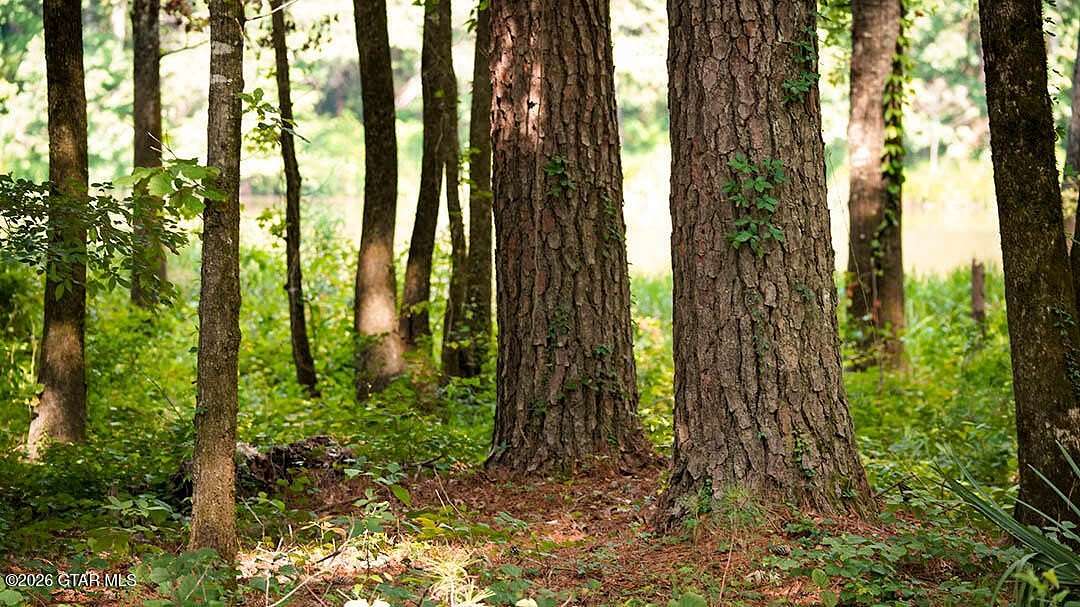 Land for Sale in Brooksville, Mississippi